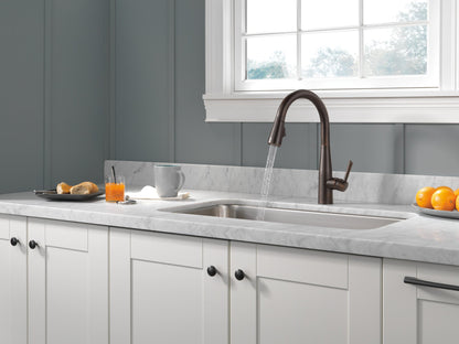 Delta Essa 9113 Single Handle Pull-Down Kitchen Faucet