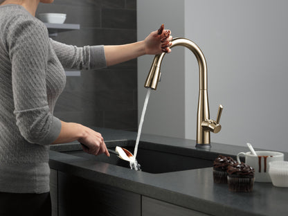Delta Essa 9113T Single Handle Pull-Down Kitchen Faucet with TouchTouch 2O Technology