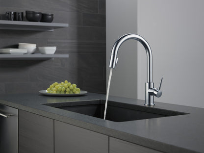 Delta Trinsic 9159 Single Handle Pull-Down Kitchen Faucet