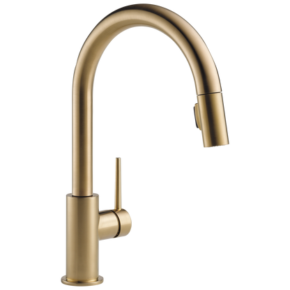 Delta Trinsic 9159 Single Handle Pull-Down Kitchen Faucet