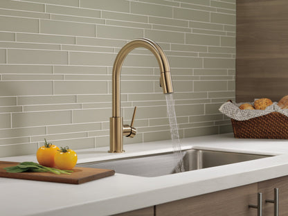 Delta Trinsic 9159 Single Handle Pull-Down Kitchen Faucet