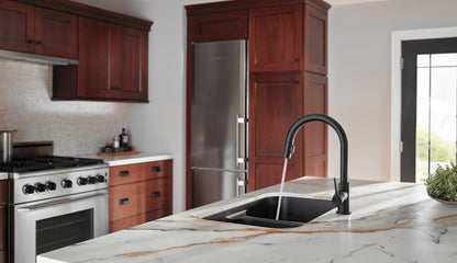 Delta Trinsic 9159 Single Handle Pull-Down Kitchen Faucet