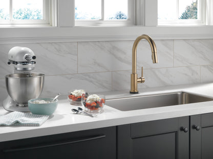 Delta Trinsic 9159T Single Handle Pull-Down Kitchen Faucet with TouchTouch 2O Technology