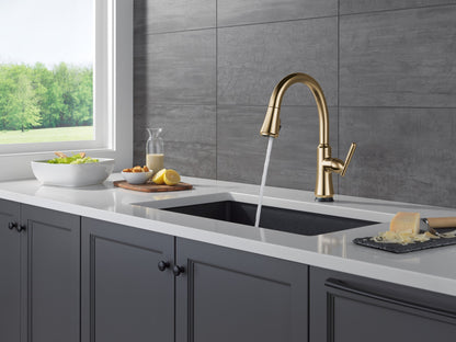 Delta Coranto 9179TL TouchTouch 2O Technology Kitchen Faucet with Touchless Technology