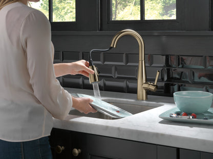 Delta Essa 9913 Single Handle Pull-Down Bar / Prep Faucet