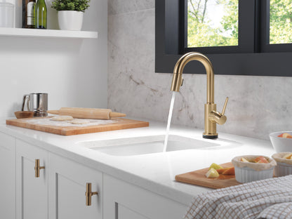 Delta Trinsic 9959T Single Handle Pull-Down Bar / Prep Faucet with TouchTouch 2O Technology