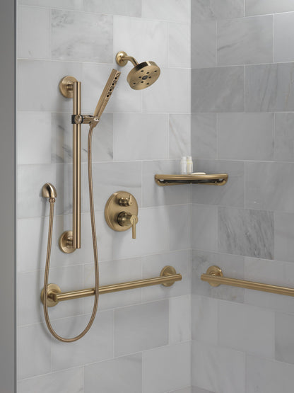 Delta BathSafety 41824 24" Contemporary Decorative ADA Grab Bar