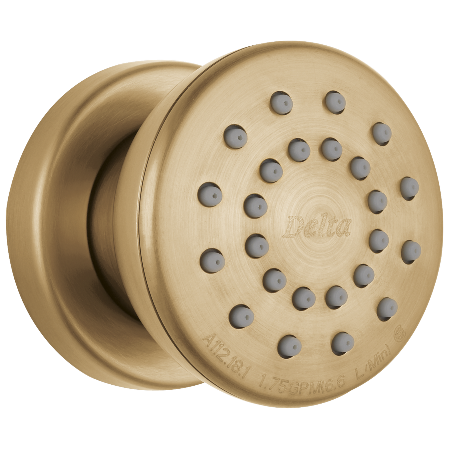 Delta 50102 Surface Mount Body Spray