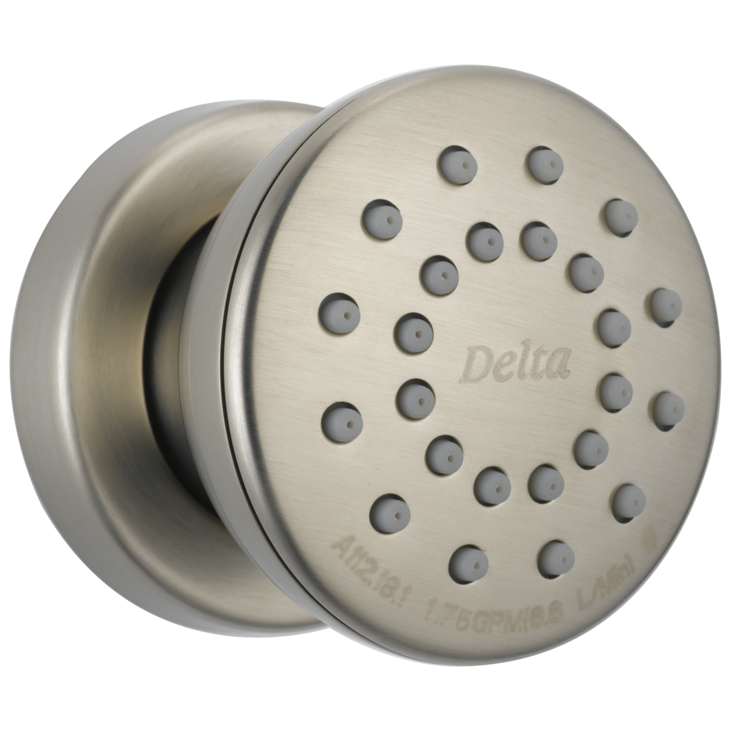 Delta 50102 Surface Mount Body Spray