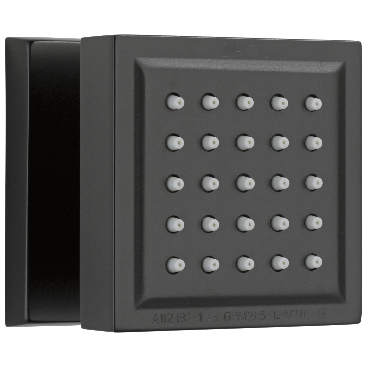 Delta 50150 Surface Mount Body Spray, matte black