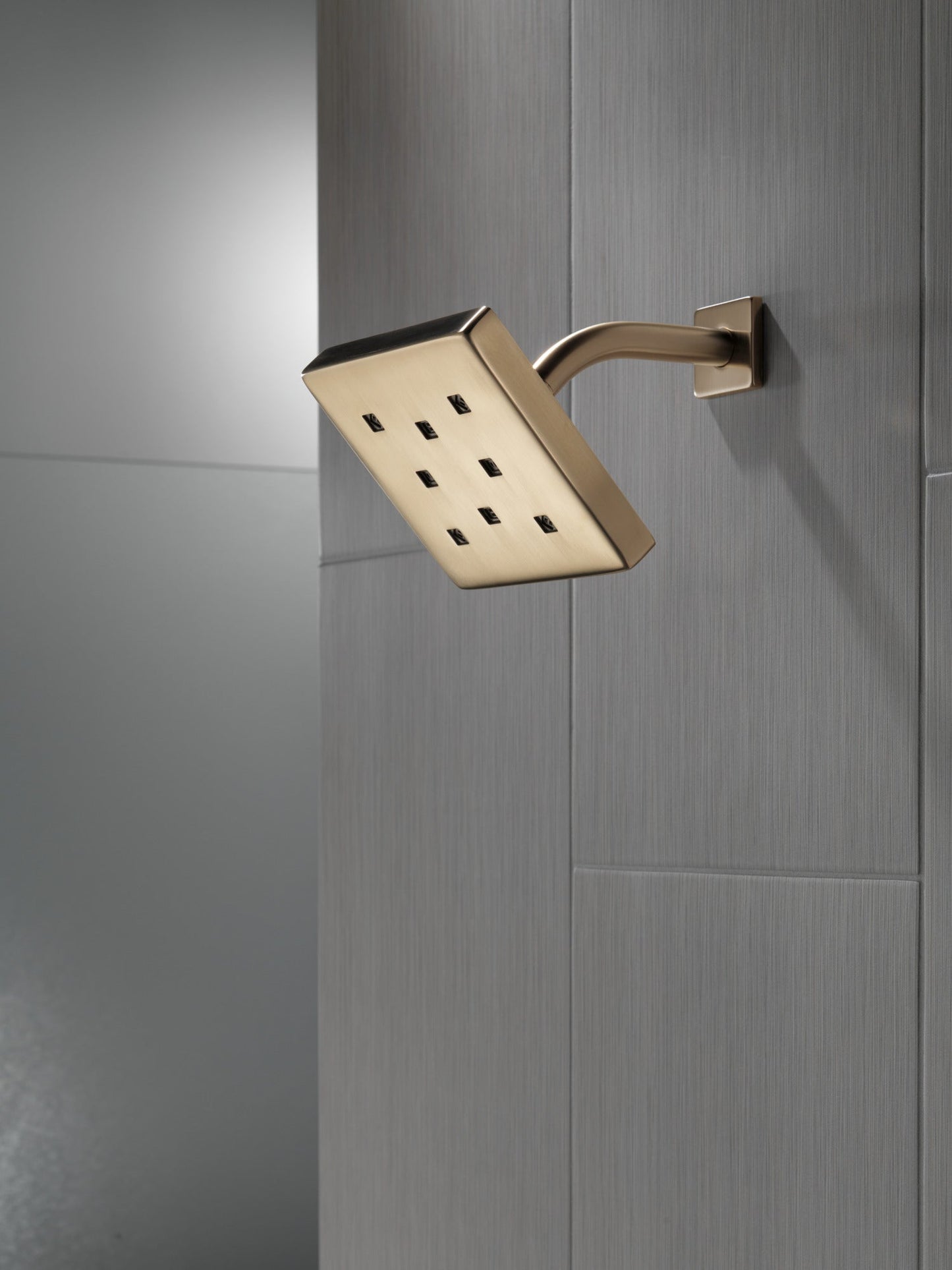 Delta Universal Showering Components 52171 H2OKINETIC Single-Setting Metal Raincan Shower Head