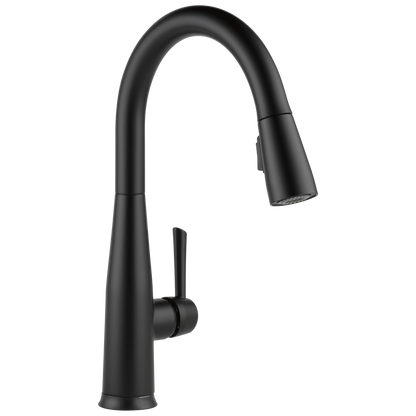 Delta Essa 9113TV VoiceIQ Single Handle Pull-Down Faucet with TouchTouch 2O Technology, matte black
