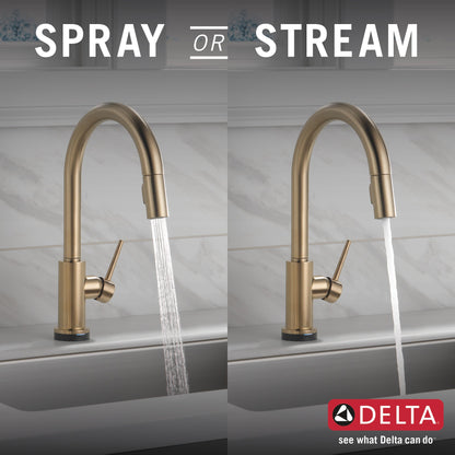 Delta Trinsic 9159TV VoiceIQ Single-Handle Pull-Down Kitchen Faucet with TouchTouch 2O Technology