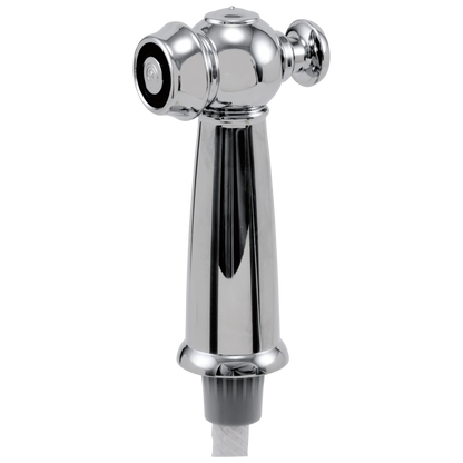 Delta Victorian RP37489RB Side Spray & Hose Assembly