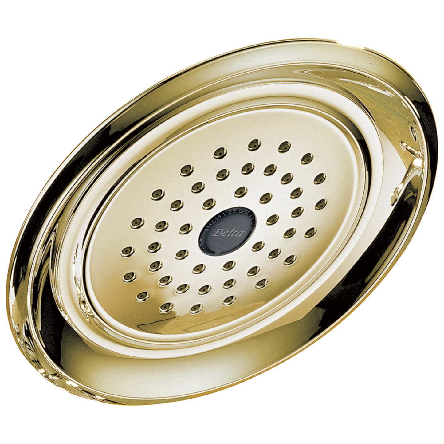 Delta Universal Showering Components RP48686SS Single-Setting Raincan Shower Head