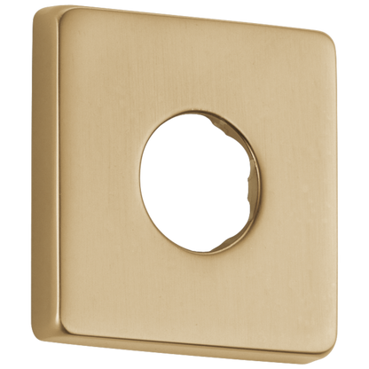 Delta RP51034PN Flange - Shower