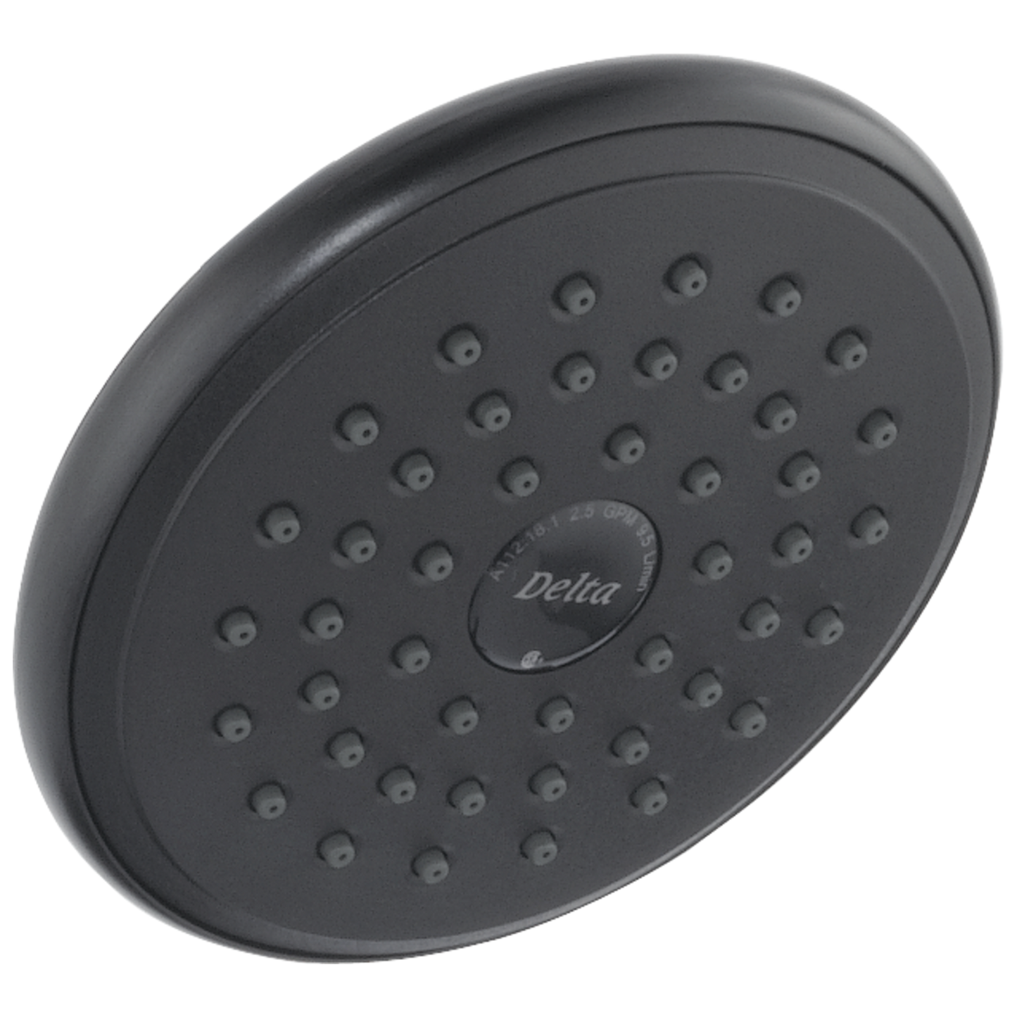 Delta Universal Showering Components RP51305SS Single-Setting Raincan Shower Head