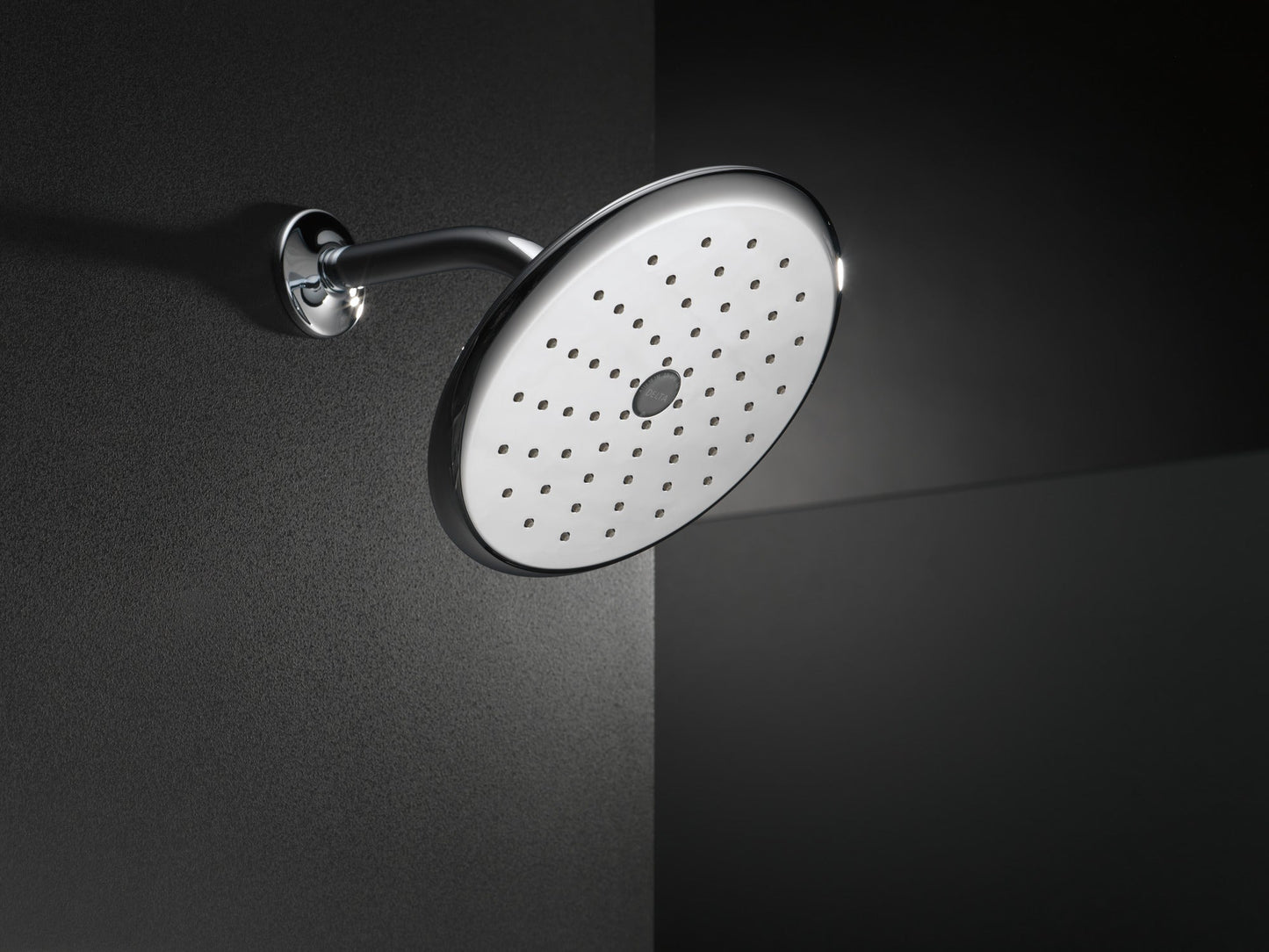 Delta Universal Showering Components RP52382SS Single-Setting Raincan Shower Head