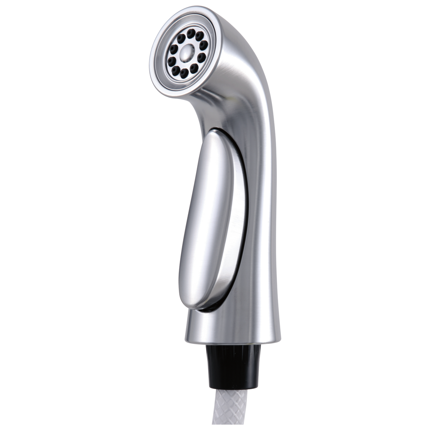 Delta Pilar RP53880 Side Spray & Hose Assembly
