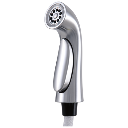 Delta Pilar RP53880 Side Spray & Hose Assembly