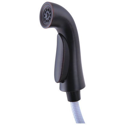 Delta Pilar RP53880 Side Spray & Hose Assembly