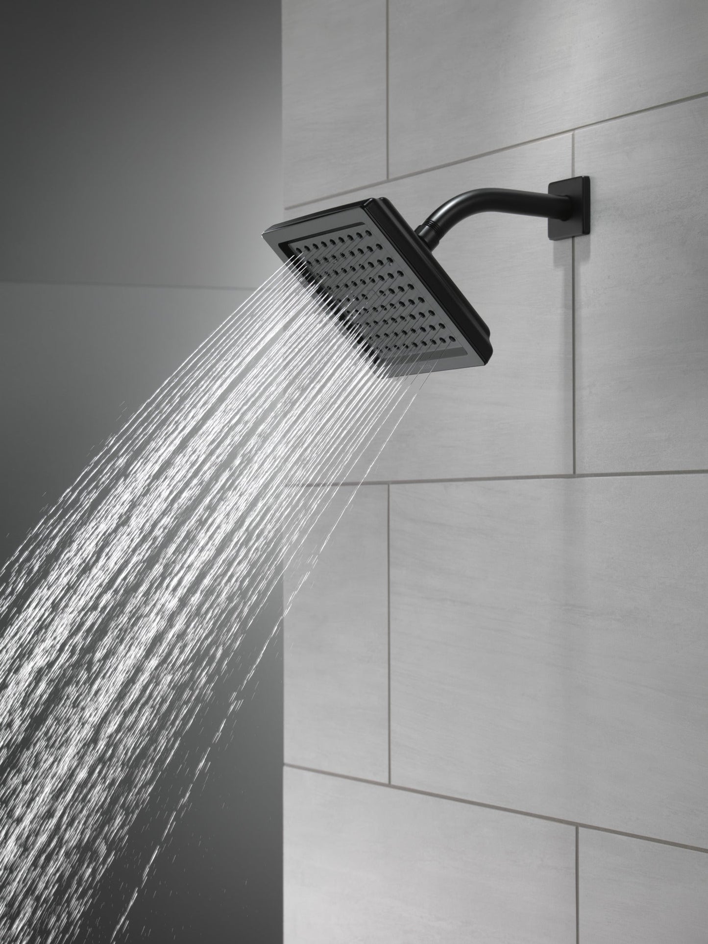 Delta Universal Showering Components RP62283PN Single-Setting Raincan Shower Head