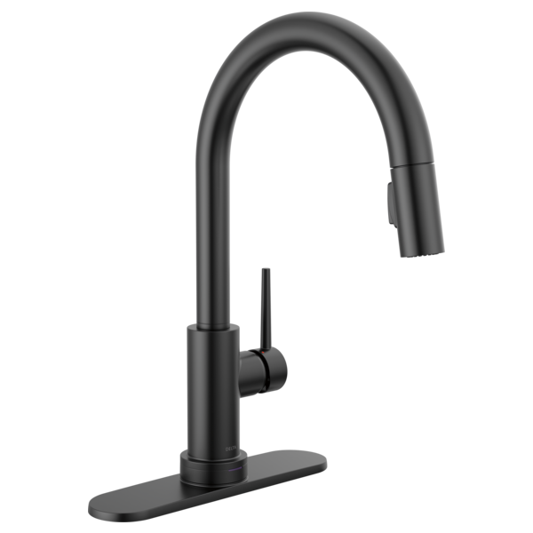 Delta Trinsic RP64070PN Escutcheon & Gasket - 8"