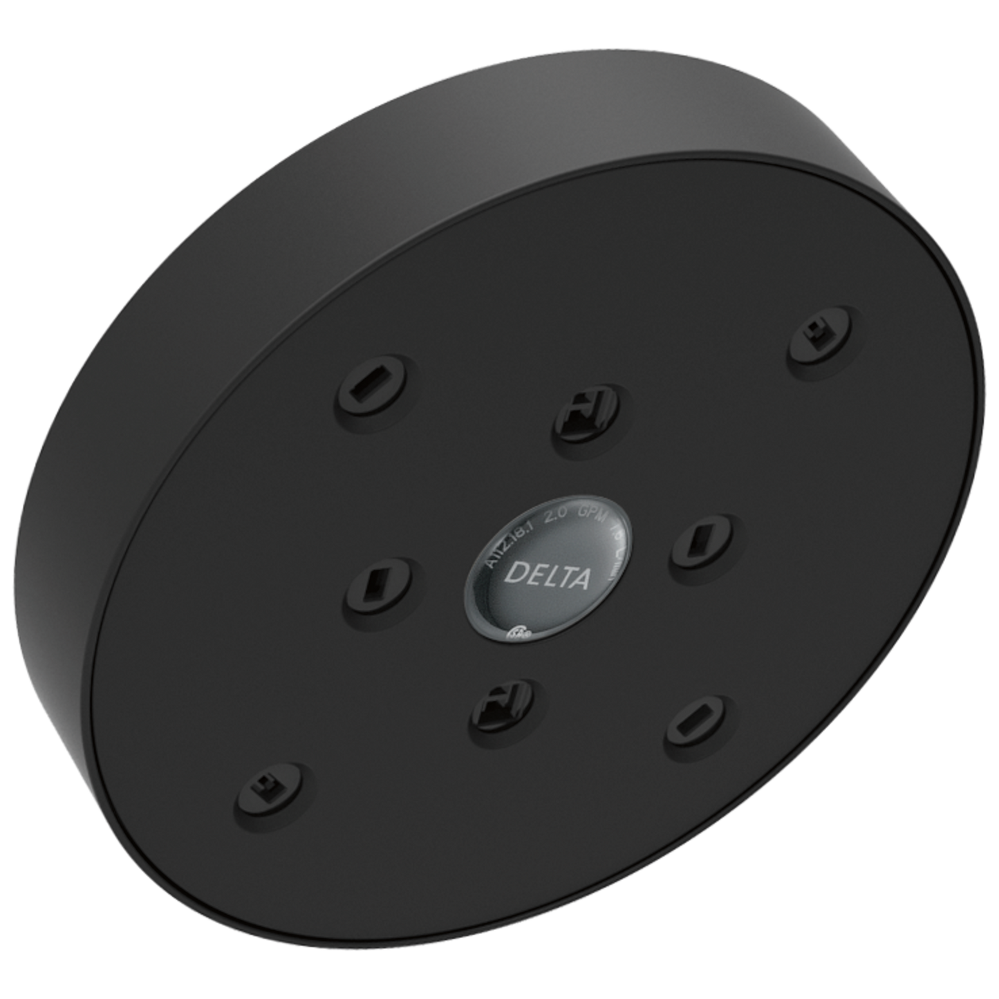 Delta Universal Showering Components RP70175 H2OKINETIC Single-Setting Raincan Shower Head