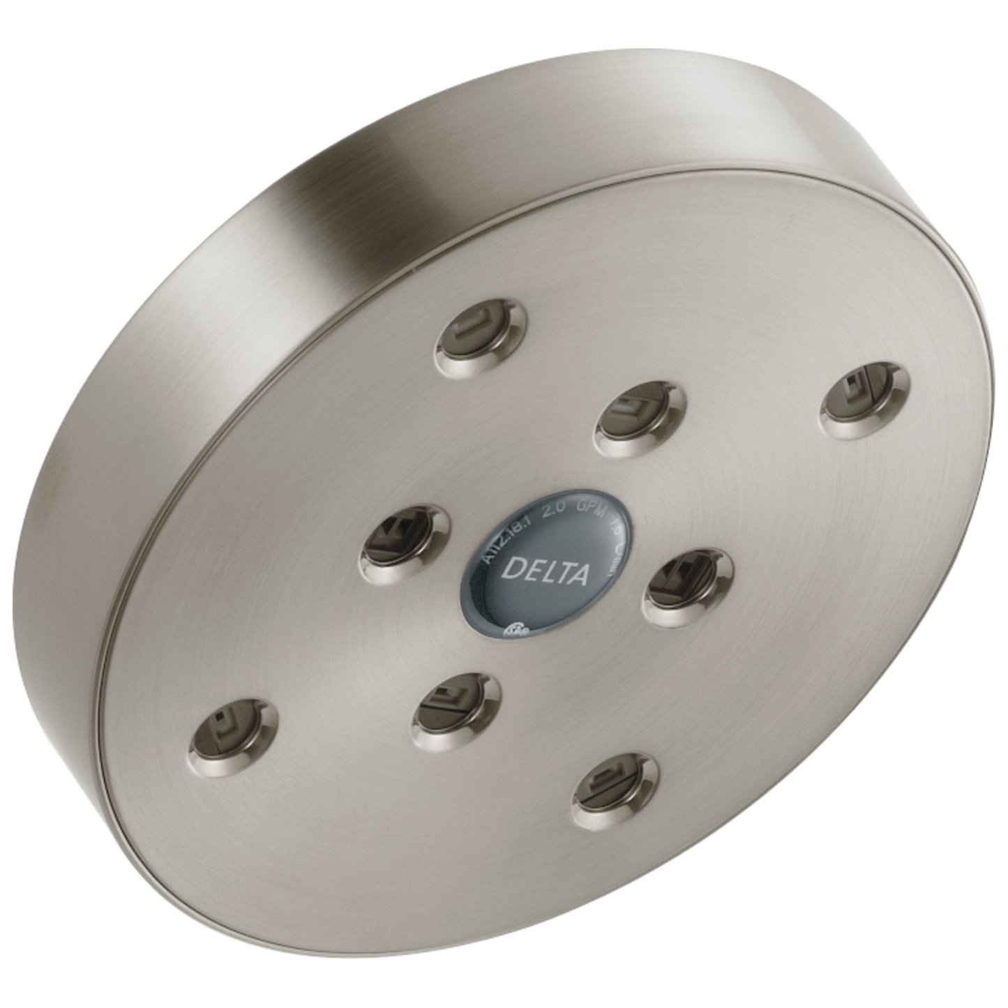 Delta Universal Showering Components RP70175 H2OKINETIC Single-Setting Raincan Shower Head