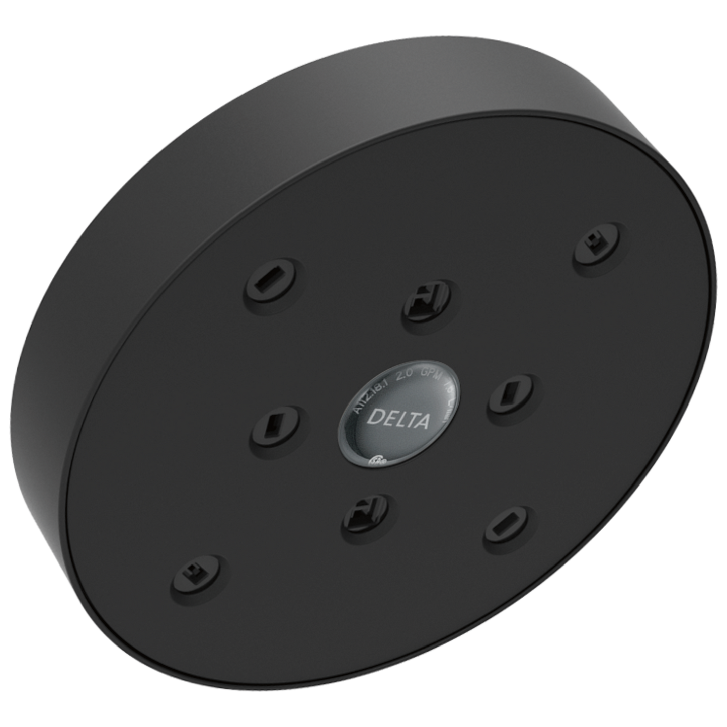 Delta Universal Showering Components RP70175RB H2OKINETIC Single-Setting Raincan Shower Head