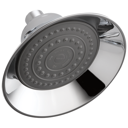 Peerless RP70537 Shower Head - Raincan