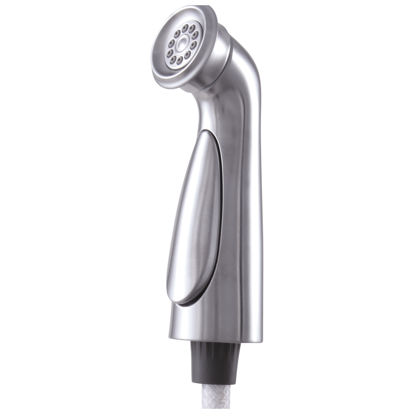 Delta Cassidy RP72751CZ Side Spray & Hose Assembly