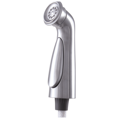 Delta Cassidy RP72751CZ Side Spray & Hose Assembly