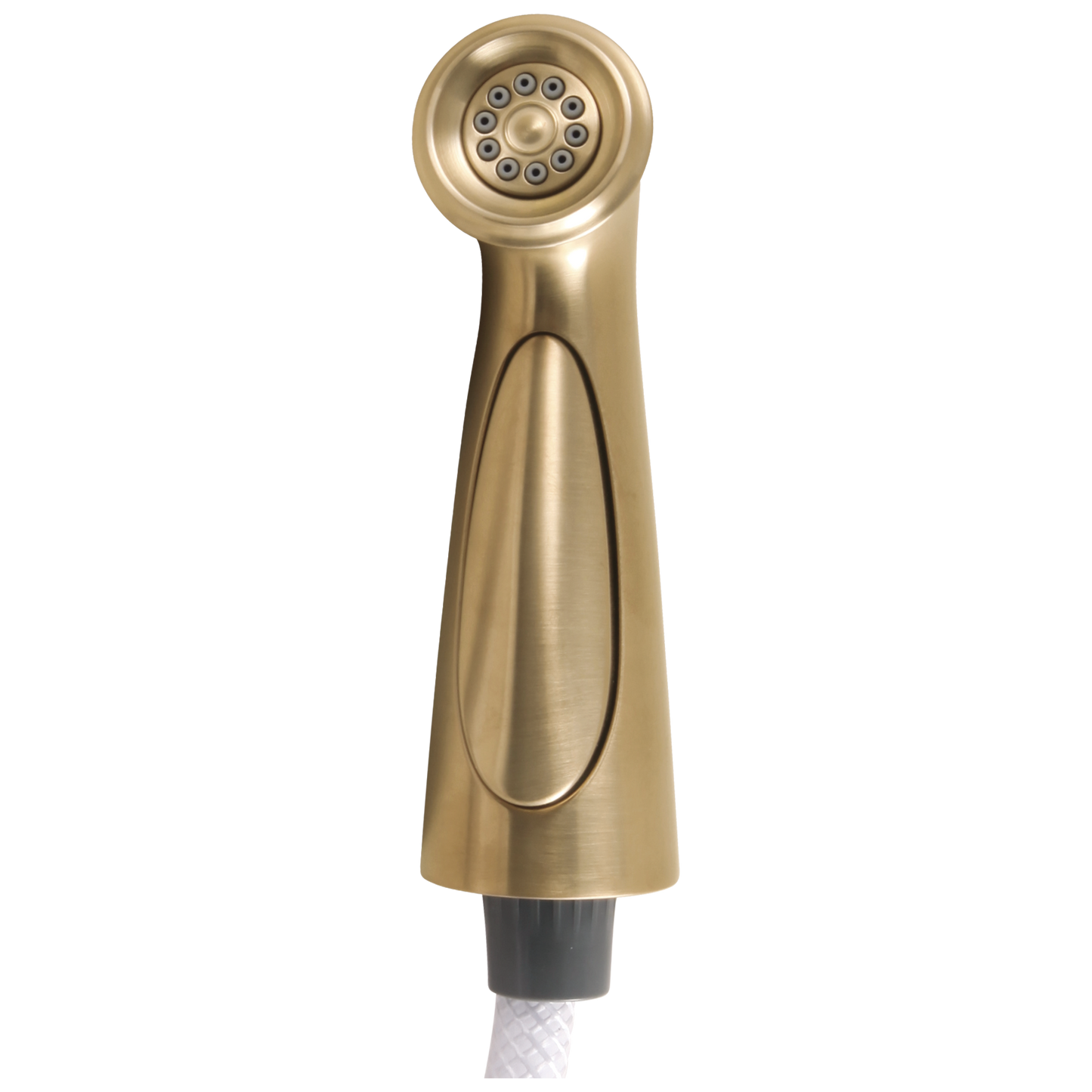 Delta Cassidy RP72751CZ Side Spray & Hose Assembly