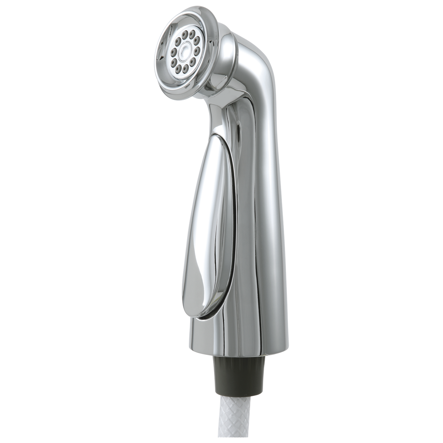 Delta Cassidy RP72751CZ Side Spray & Hose Assembly