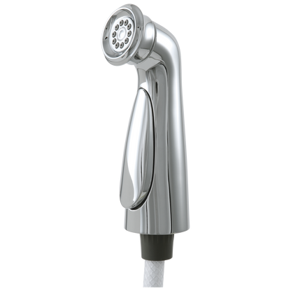 Delta Cassidy RP72751CZ Side Spray & Hose Assembly