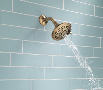 Delta Universal Showering Components RP78575CZ 5-Setting Raincan Shower Head