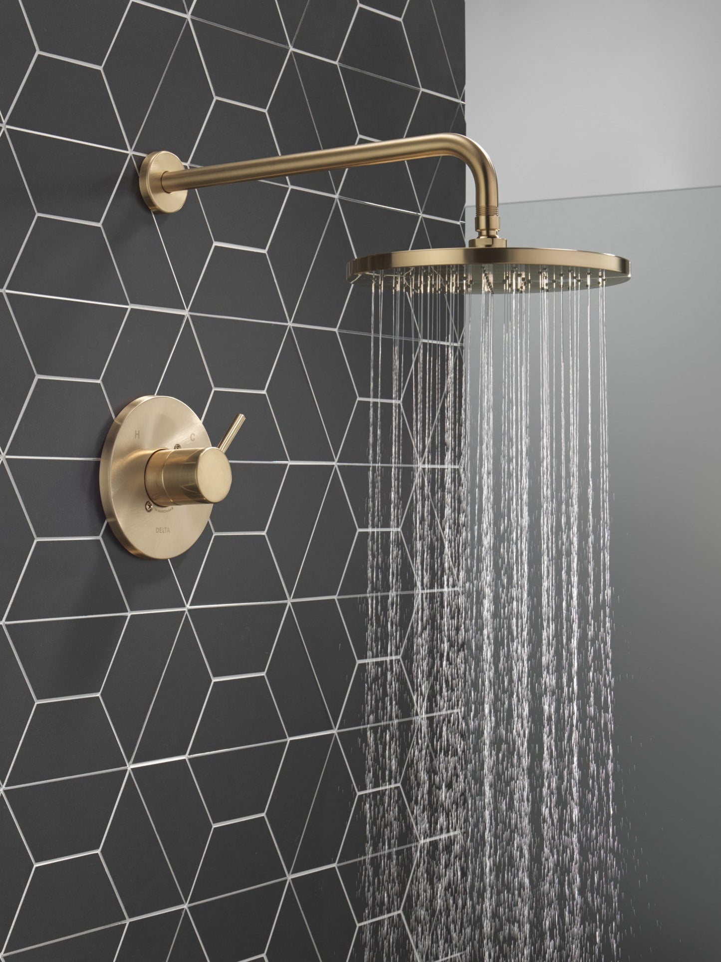 Delta Modern T14269 Monitor 14 Series Shower Trim