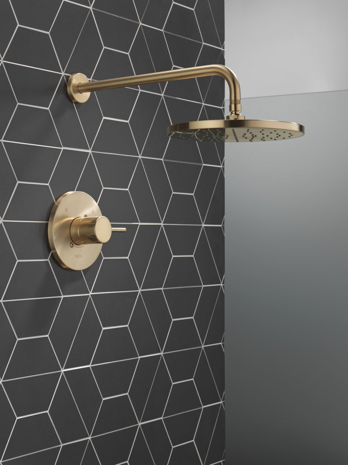 Delta Modern T14269 Monitor 14 Series Shower Trim