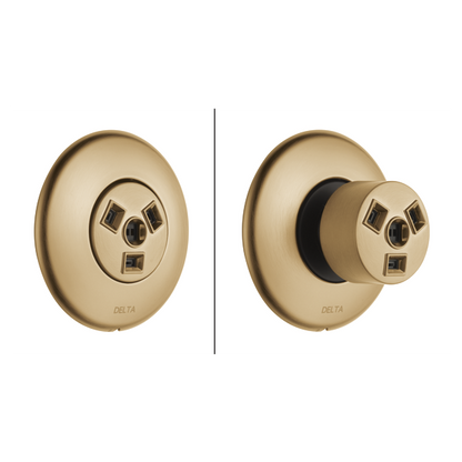 Delta T50010 HydraChoice Round Body Spray Trim