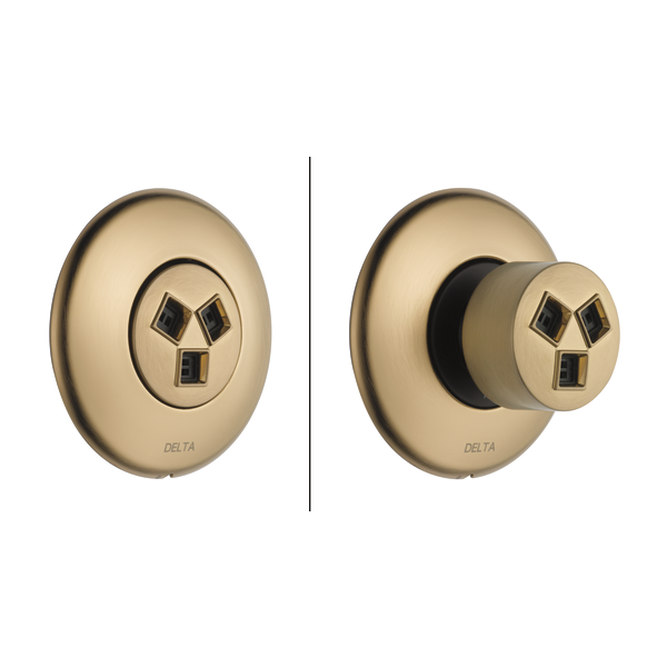 Delta T50010 HydraChoice Round Body Spray Trim