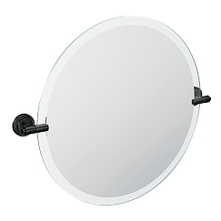 Moen  Mirror
