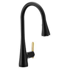 Moen  One-Handle Pulldown Kitchen Faucet