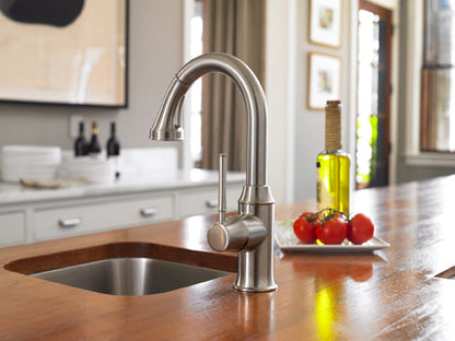 hansgrohe Talis C Prep Kitchen Faucet, 2-Spray Pull-Down, 1.75 GPM