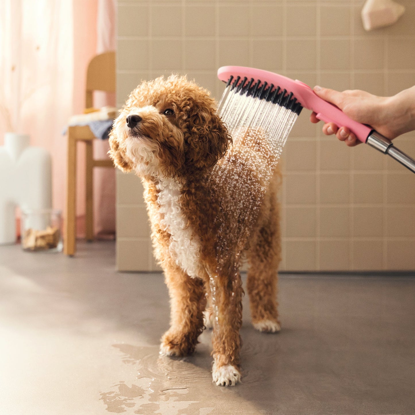 hansgrohe Dog Shower Dog Shower + Quick Connect, 3-Spray, 1.75 GPM,