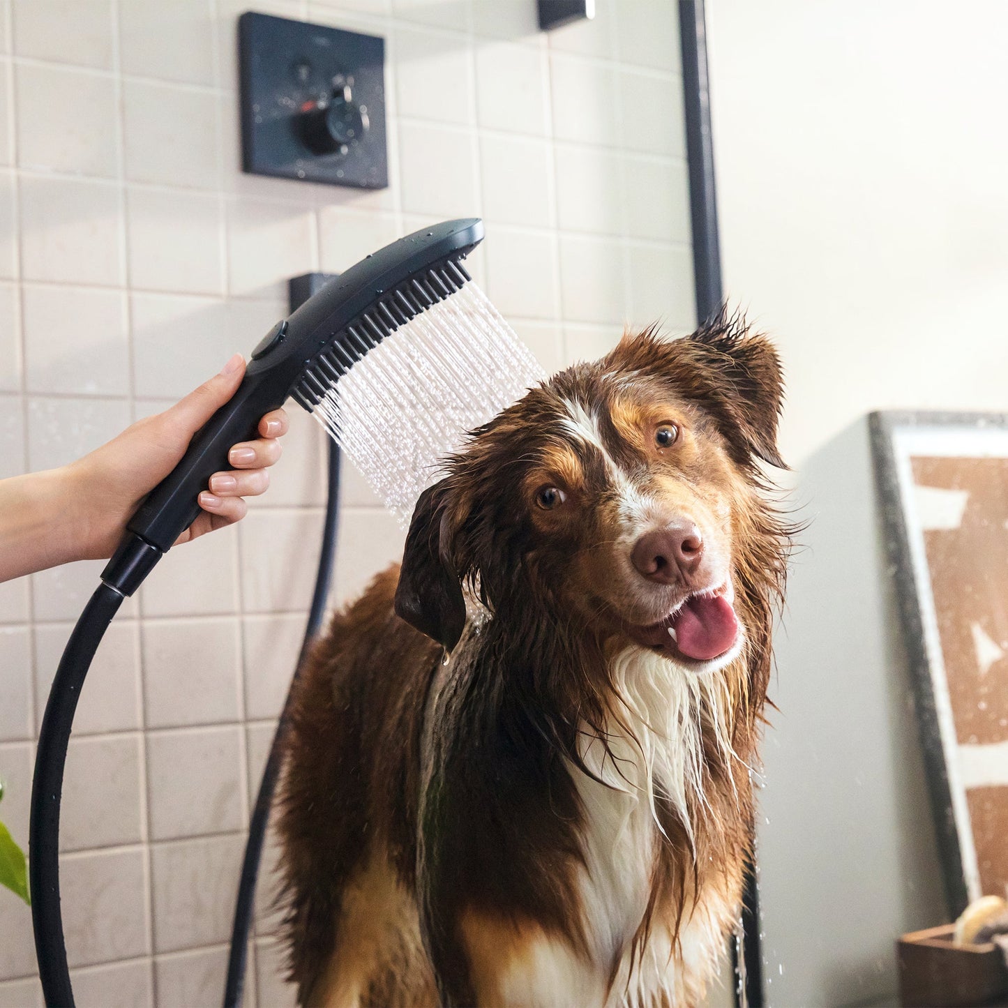 hansgrohe Dog Shower Dog Shower Bundle, 3-Spray, 1.75 GPM