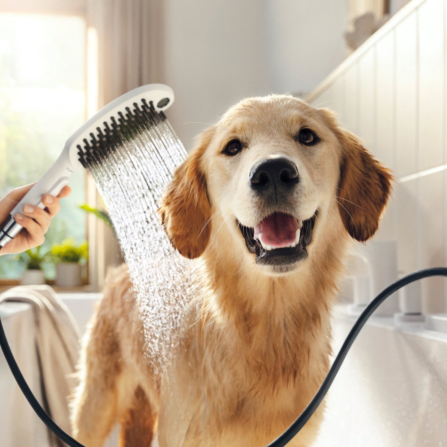 hansgrohe Dog Shower Dog Shower Bundle, 3-Spray, 1.75 GPM