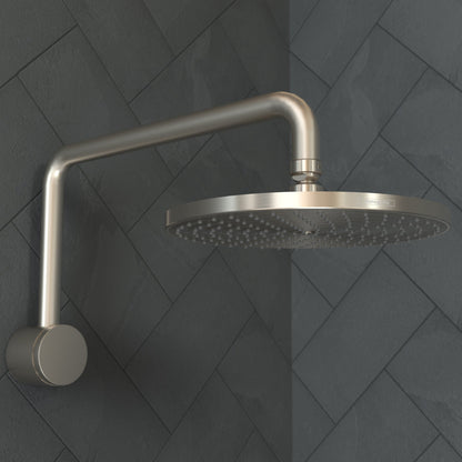 hansgrohe Raindance Showerarm