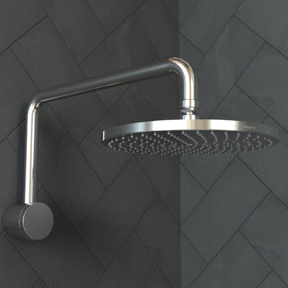 hansgrohe Raindance Showerarm