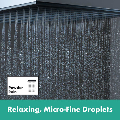 hansgrohe Pulsify E Showerhead 260 1-Jet, 2.5 GPM